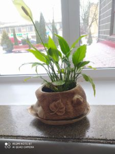 Дякуємо за теплий прийом та незабутні враження!