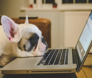 За 5 років зникне 83 млн робочих місць: які професії матимуть попит?