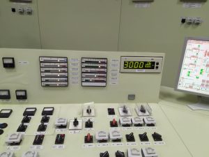 Наші колеги та студенти прийняли участь у літній ядерній школі (ЦСР 4, ЦСР 7, ЦСР 8, ЦСР 9)
